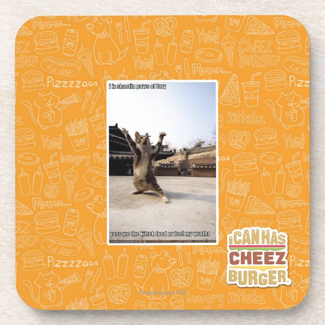 I iz shaolin paws of fury coaster (Front)