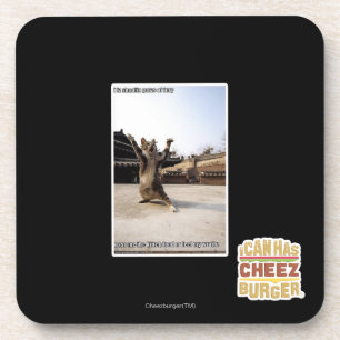 I iz shaolin paws of fury coaster