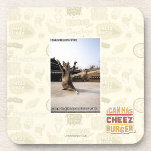 I iz shaolin paws of fury coaster