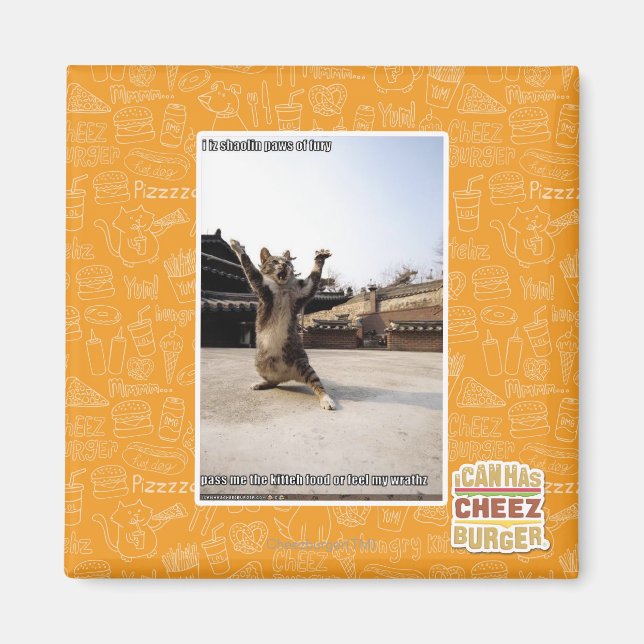 I iz shaolin paws of fury magnet (Front)