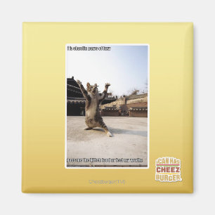 I iz shaolin paws of fury magnet