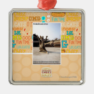 I iz shaolin paws of fury metal ornament