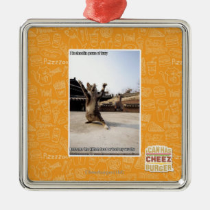 I iz shaolin paws of fury metal ornament