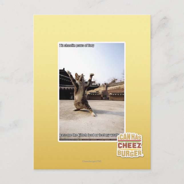 I iz shaolin paws of fury postcard (Front)