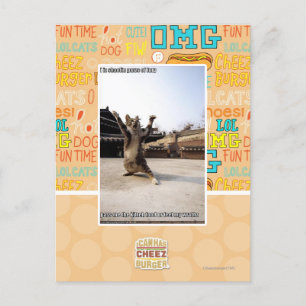 I iz shaolin paws of fury postcard