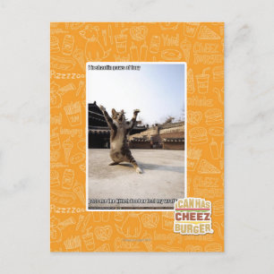 I iz shaolin paws of fury postcard