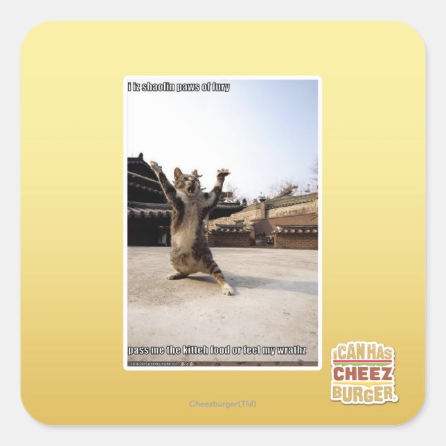 I iz shaolin paws of fury square sticker (Front)