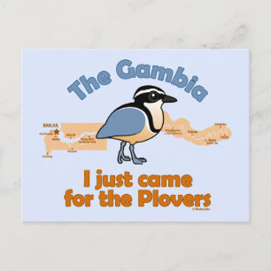 I Just Came for the Plovers Postcard