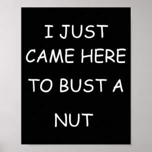 I Just Came Here To Bust A Nut Adult Humor Offensi Poster