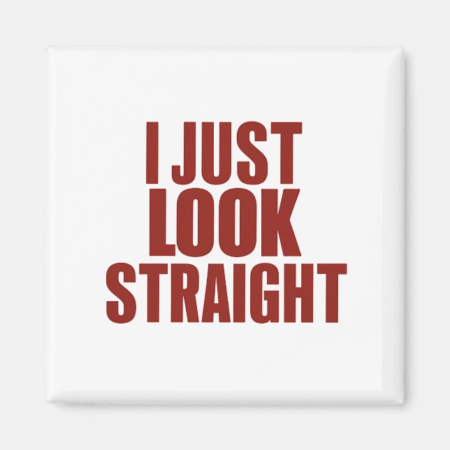 I Just Look Straight LGBT Gay Lesbian Pride Month  Magnet (Front)
