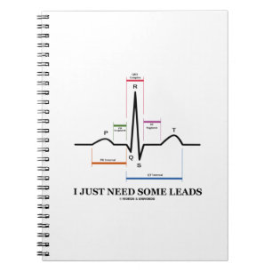 I Just Need Some Leads (ECG/EKG Heartbeat) Notebook