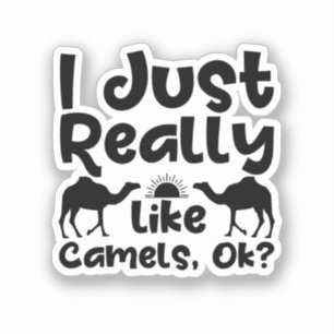 I Just Really like Camels, Ok?