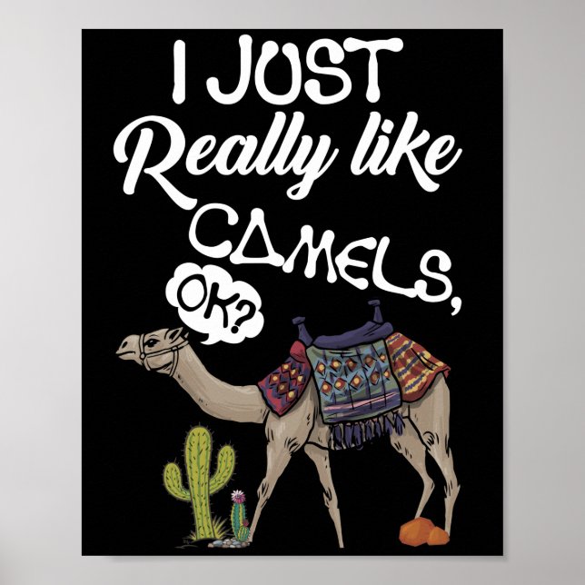 I Just Really Like Camels OK Camel Poster (Front)
