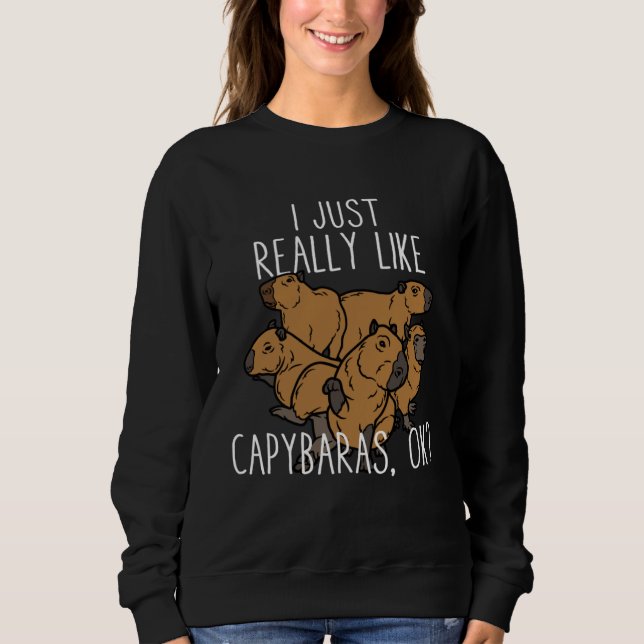 I Just Really Like Capybaras Ok  Capibara Rodent H Sweatshirt (Front)