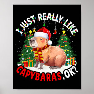 I Just Really Like Capybaras Ok Capybara Animal Ch Poster
