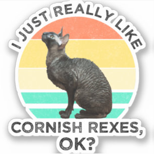 I Just Really Like Cornish Rexes, OK?