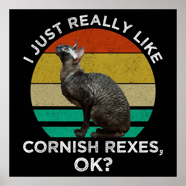 I Just Really Like Cornish Rexes, OK? Poster (Front)