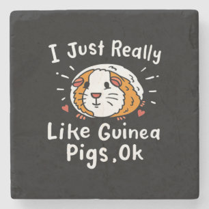 I Just Really Like Guinea Guinea Pig Kawaii Stone Coaster