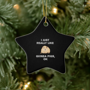 I Just Really Like Guinea Pigs Ok Funny Guinea Pig Ceramic Ornament