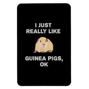 I Just Really Like Guinea Pigs Ok Funny Guinea Pig Magnet