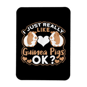 I Just Really Like Guinea Pigs OK ? Magnet