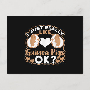 I Just Really Like Guinea Pigs OK ? Postcard