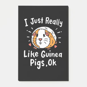 I Just Really Like Guinea Pigs Post-it Notes