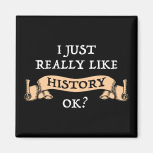 I Just Really Like History OK? Funny History Buff Magnet