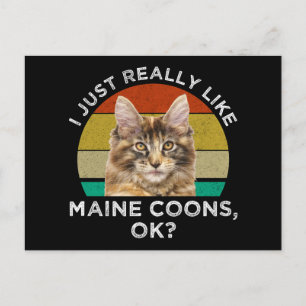I Just Really Like Maine Coons, Ok? Postcard