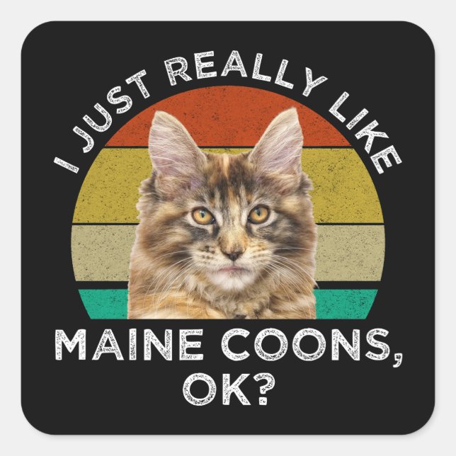 I Just Really Like Maine Coons, Ok? Square Sticker (Front)
