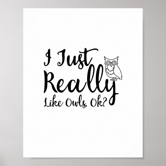 I Just Really Like Owls, Ok? Poster (Front)