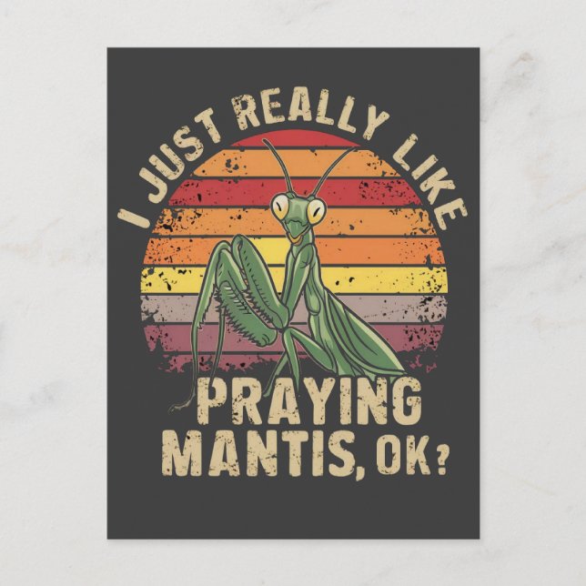 I Just Really Like Praying Mantis Ok Insect Retro Postcard (Front)