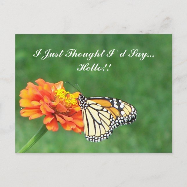 I Just Thought I`d Say... Hello!! Postcard (Front)