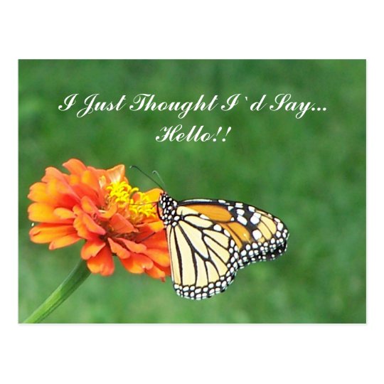 I Just Thought I`d Say... Hello!! Postcard