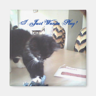 I Just Wanta Play! Magnet