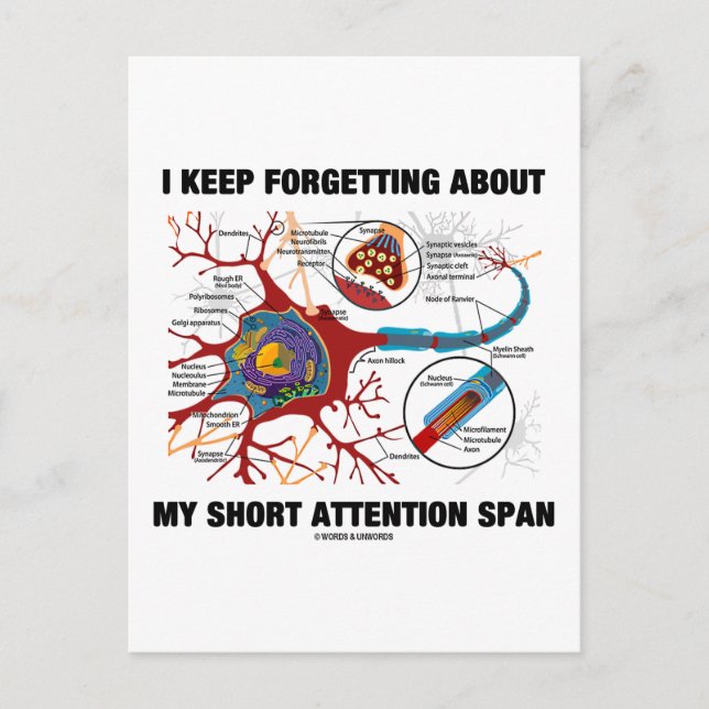 I Keep Forgetting About My Short Attention Span Postcard (Front)
