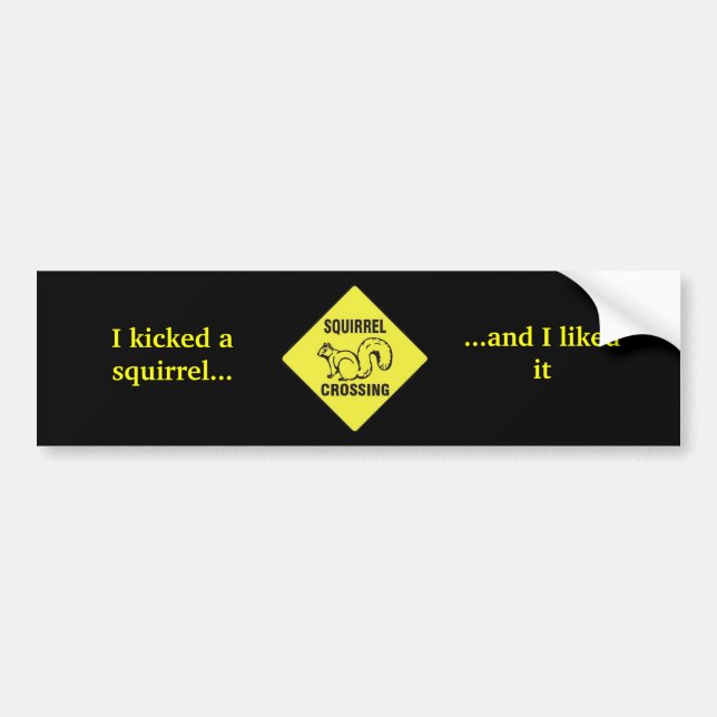 I Kicked a squirrel *NEW* Bumper Sticker (Front)