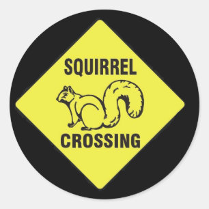 I kicked a squirrel stickers