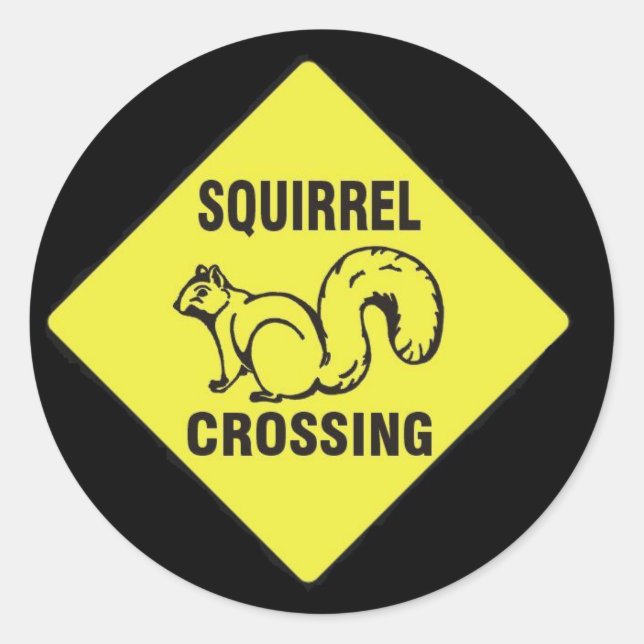 I kicked a squirrel stickers (Front)