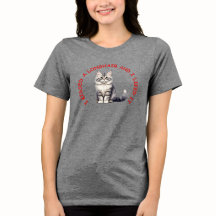 I kissed a British longhair cat