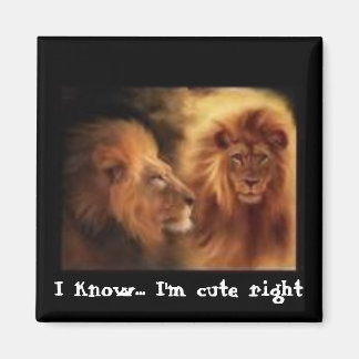 I know... I'm cute right Magnet