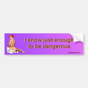 I know just enough... bumper sticker