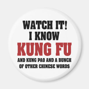 I Know Kung Fu and Kung Pao - Funny Martial Arts Magnet