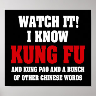 I Know Kung Fu and Kung Pao - Funny Martial Arts Poster