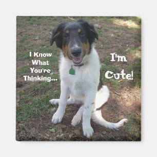 I Know What You're Thinking..., I'm Cute! Magnet