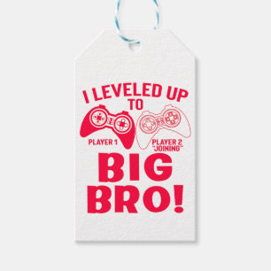 "I LEVELED UP TO BIG BRO! GIFT TAGS