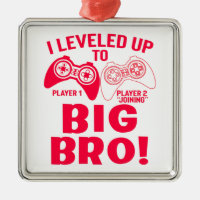 "I LEVELED UP TO BIG BRO!