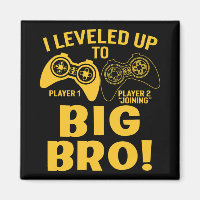 I Levelled Up To Big Bro