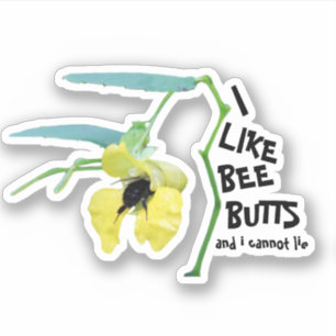 I Like Bee Butts and I Cannot Lie