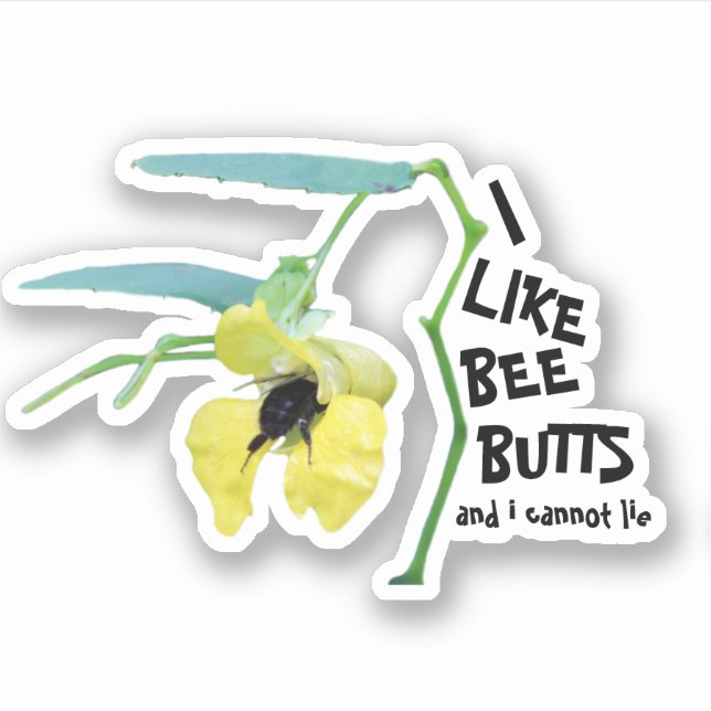 I Like Bee Butts and I Cannot Lie (Front)